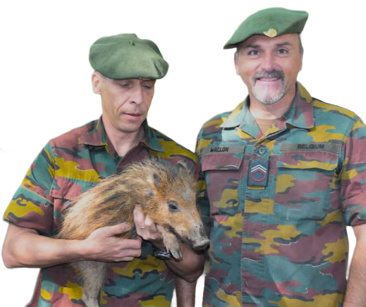 1786914280898.png