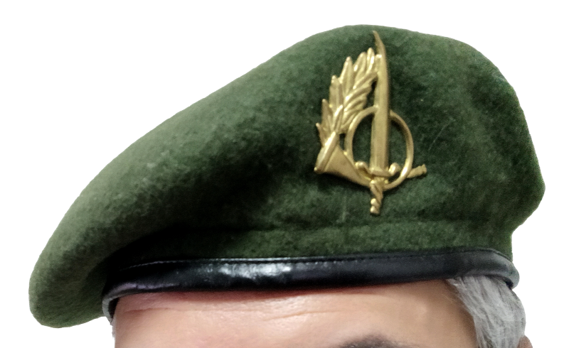1786914547553.png