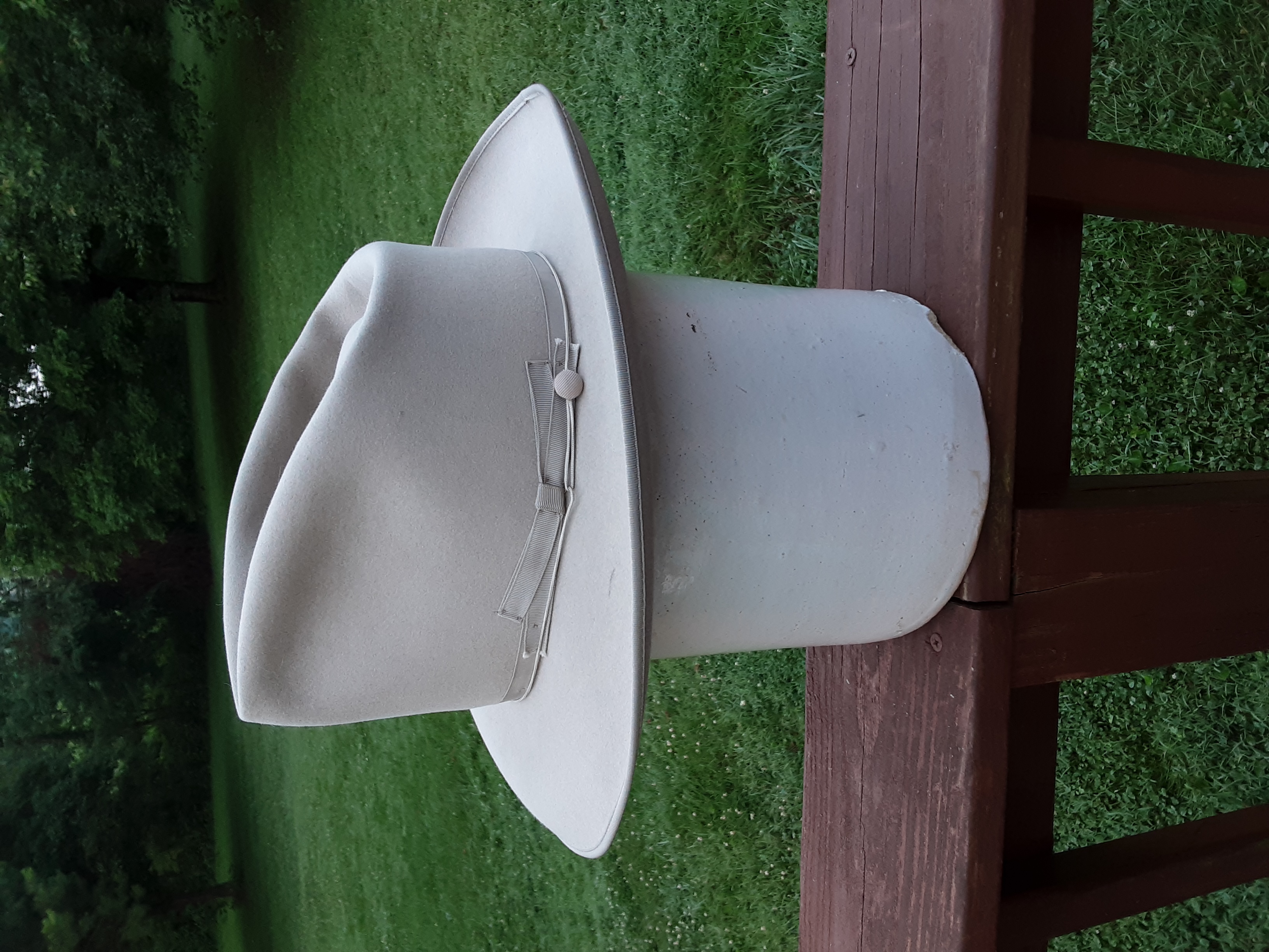 20250626_065601.jpg