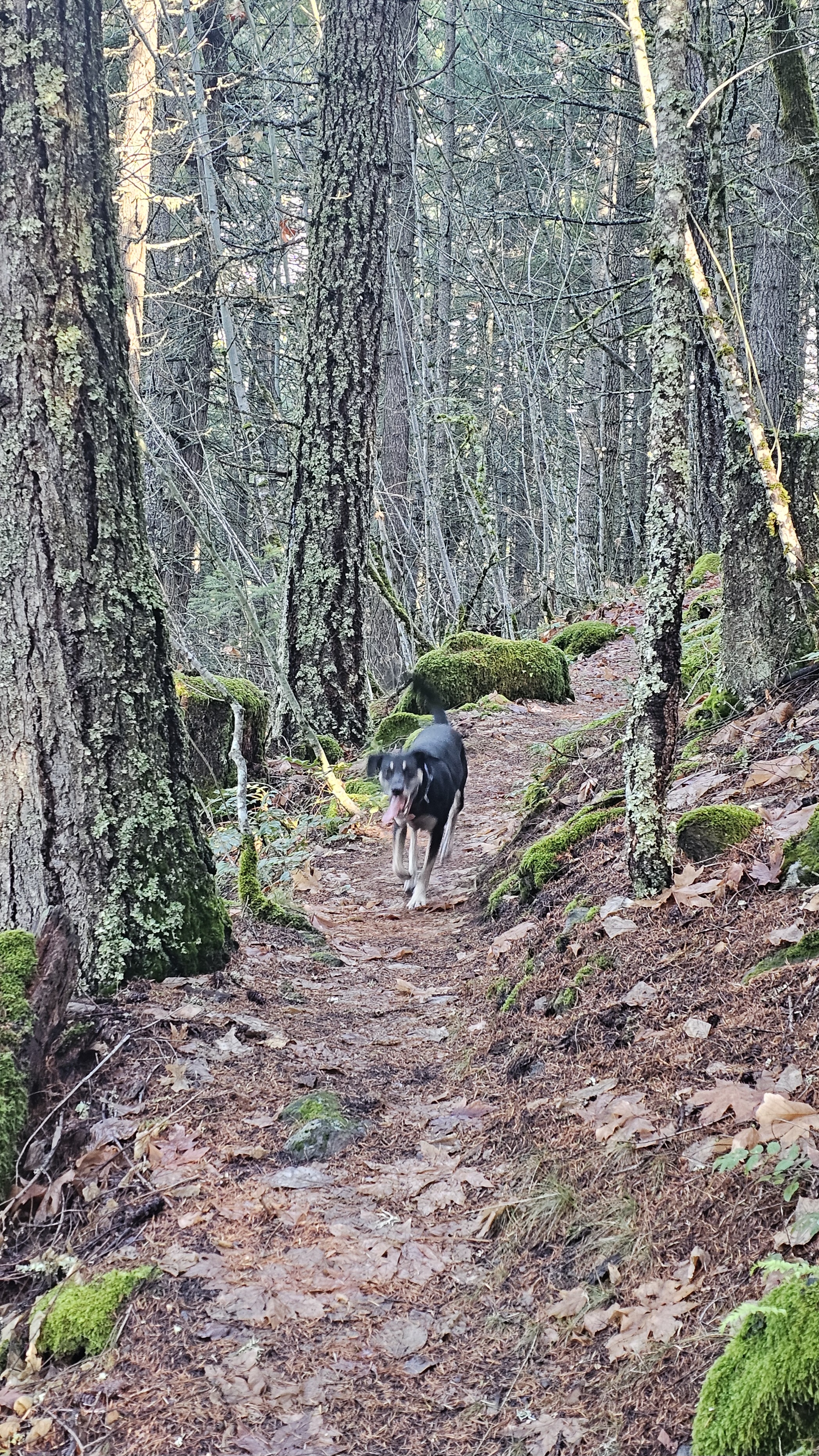 20251130_114024.jpg