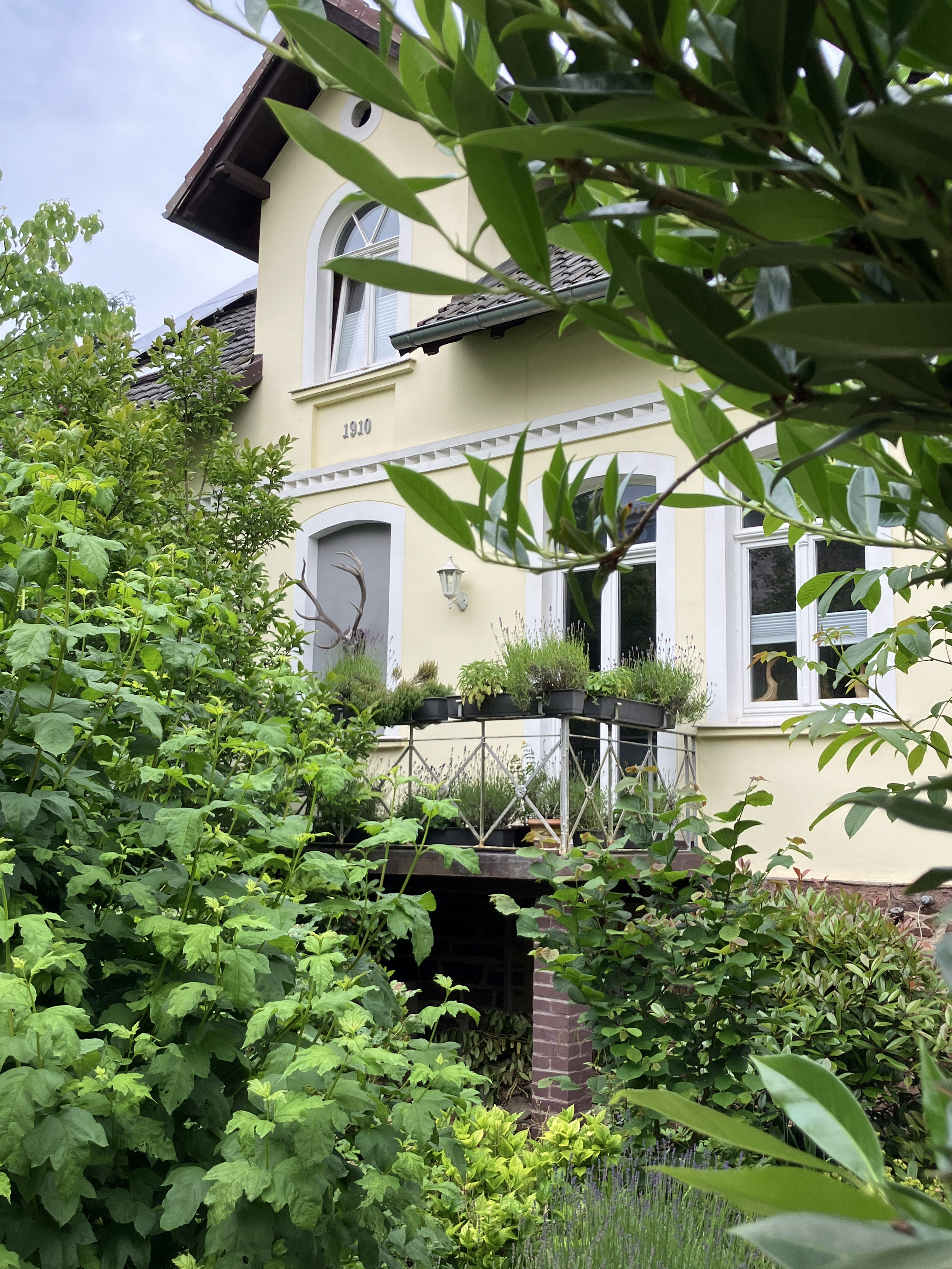 2026-06-21 Garten und Haus Parkstr01.JPG