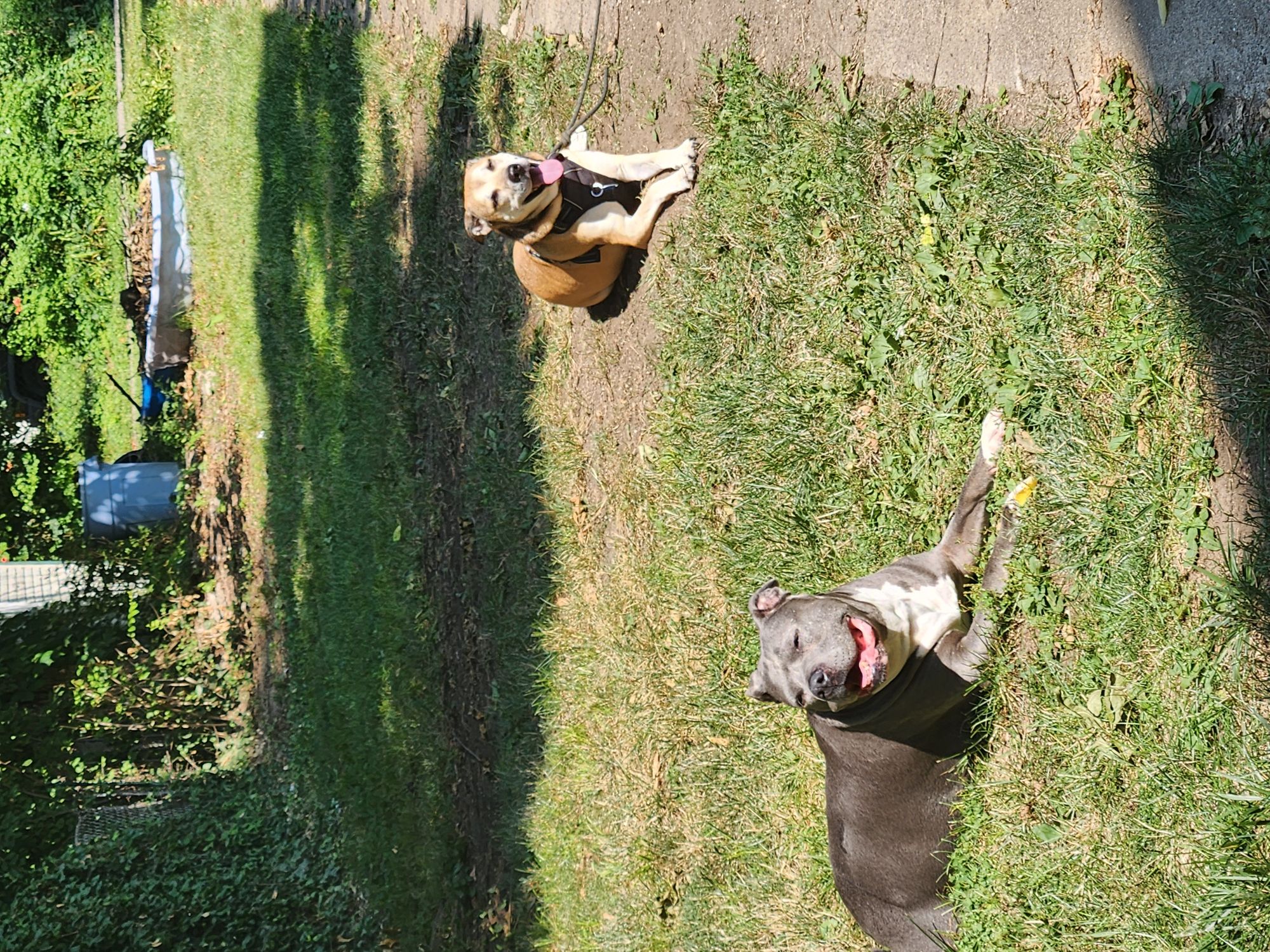 20260731_110636_compress60.jpg