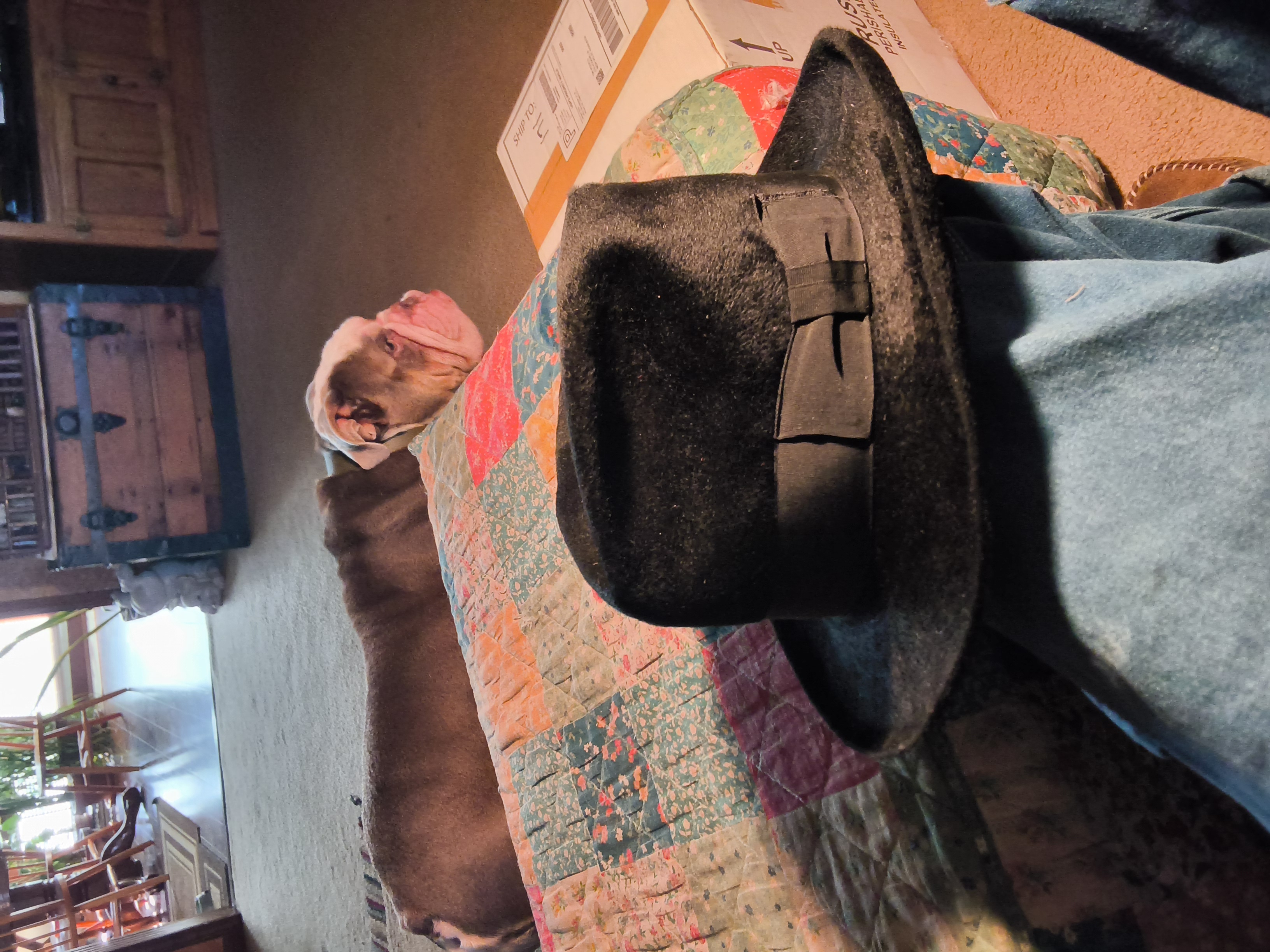 20261027_133721.jpg