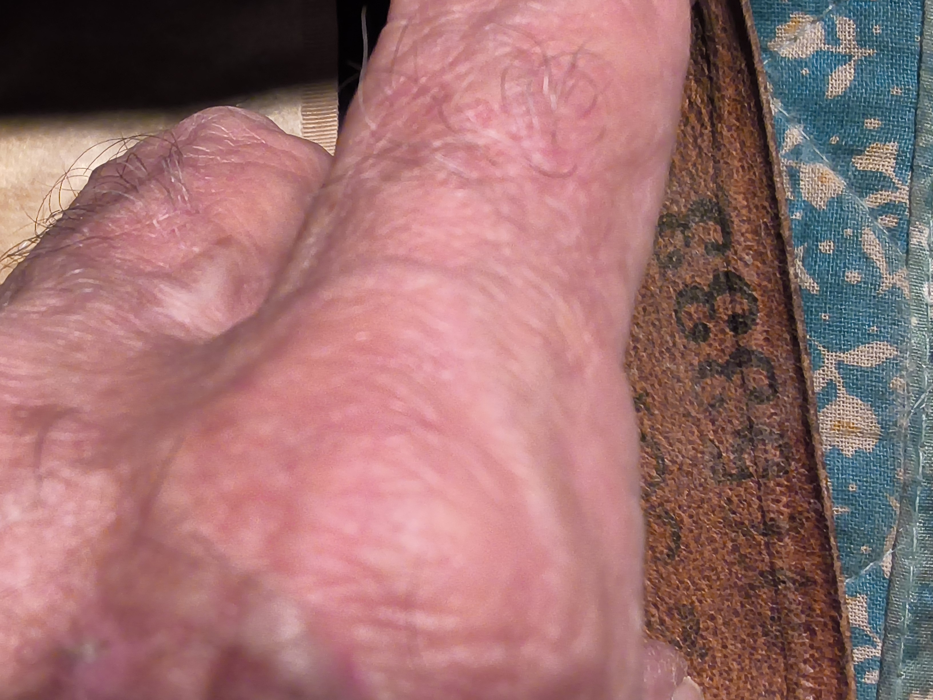 20261027_135150.jpg