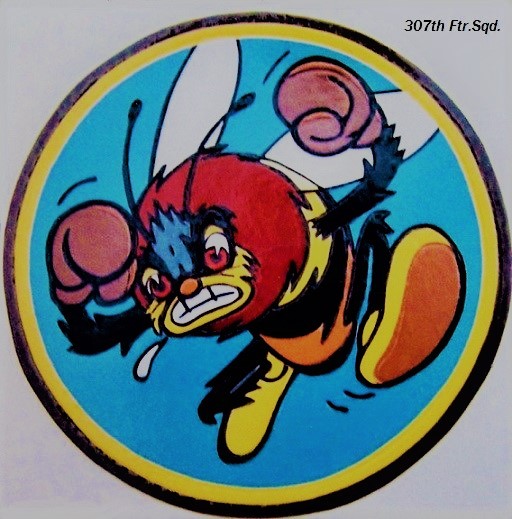 307th Fighter Squadron.jpg