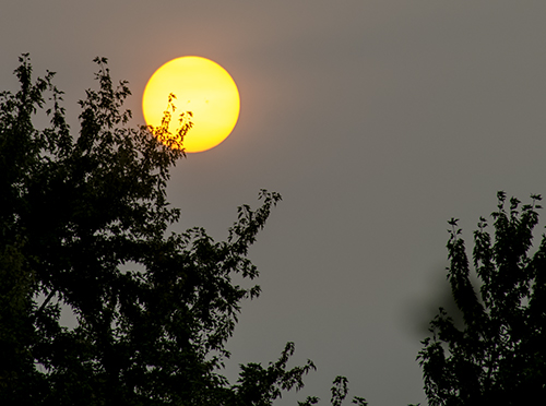 4Sep17 Smokey sunrise 2.jpg