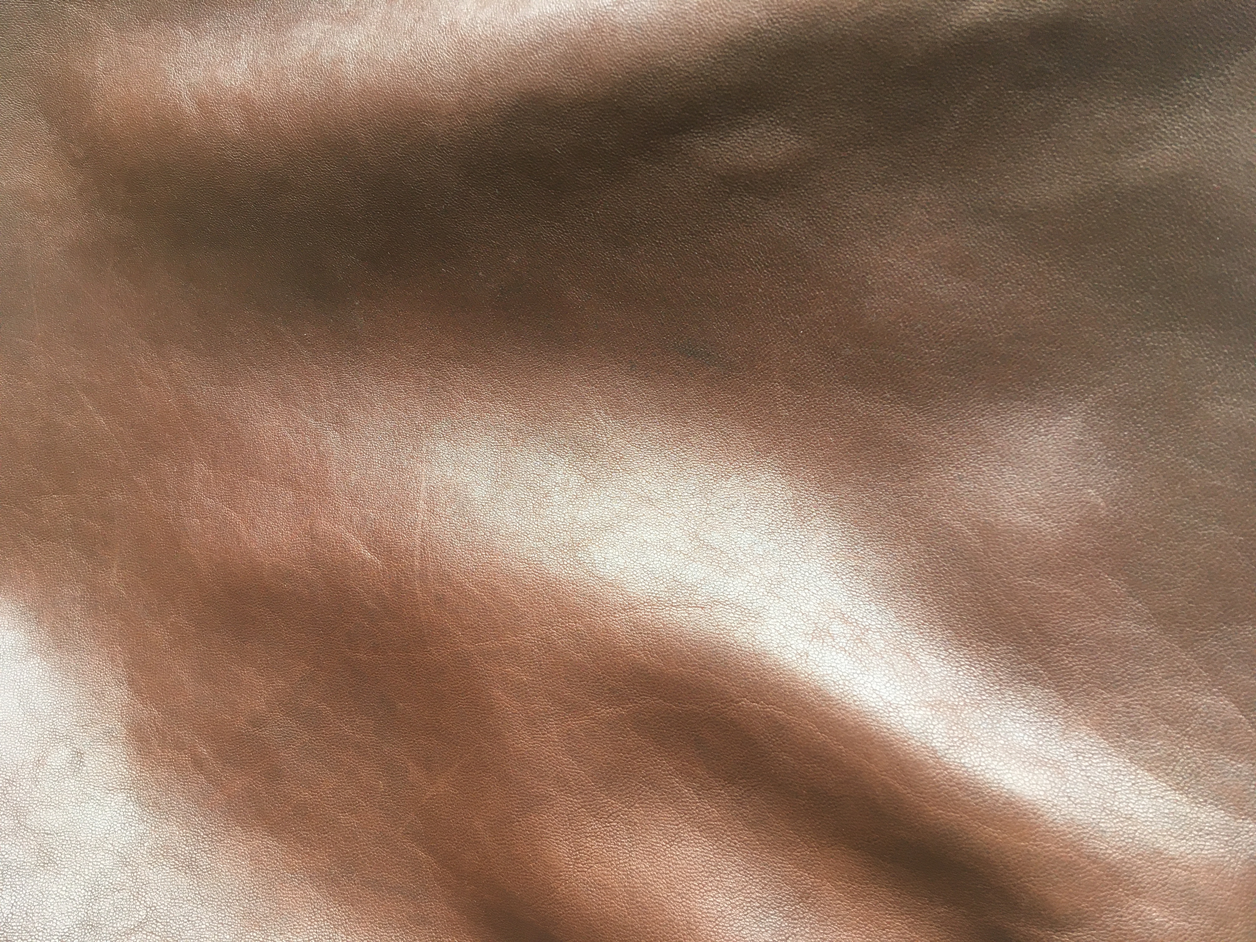 670602C4-4345-47F4-8864-064398E8A8C9.jpeg