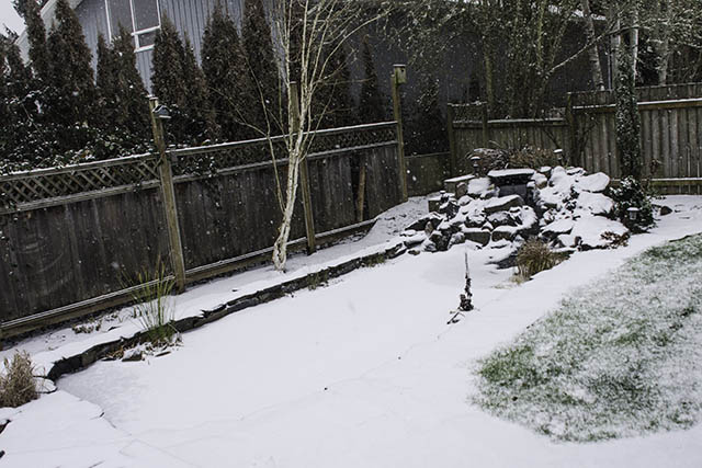 7Jan17 Snow on Pond.jpg