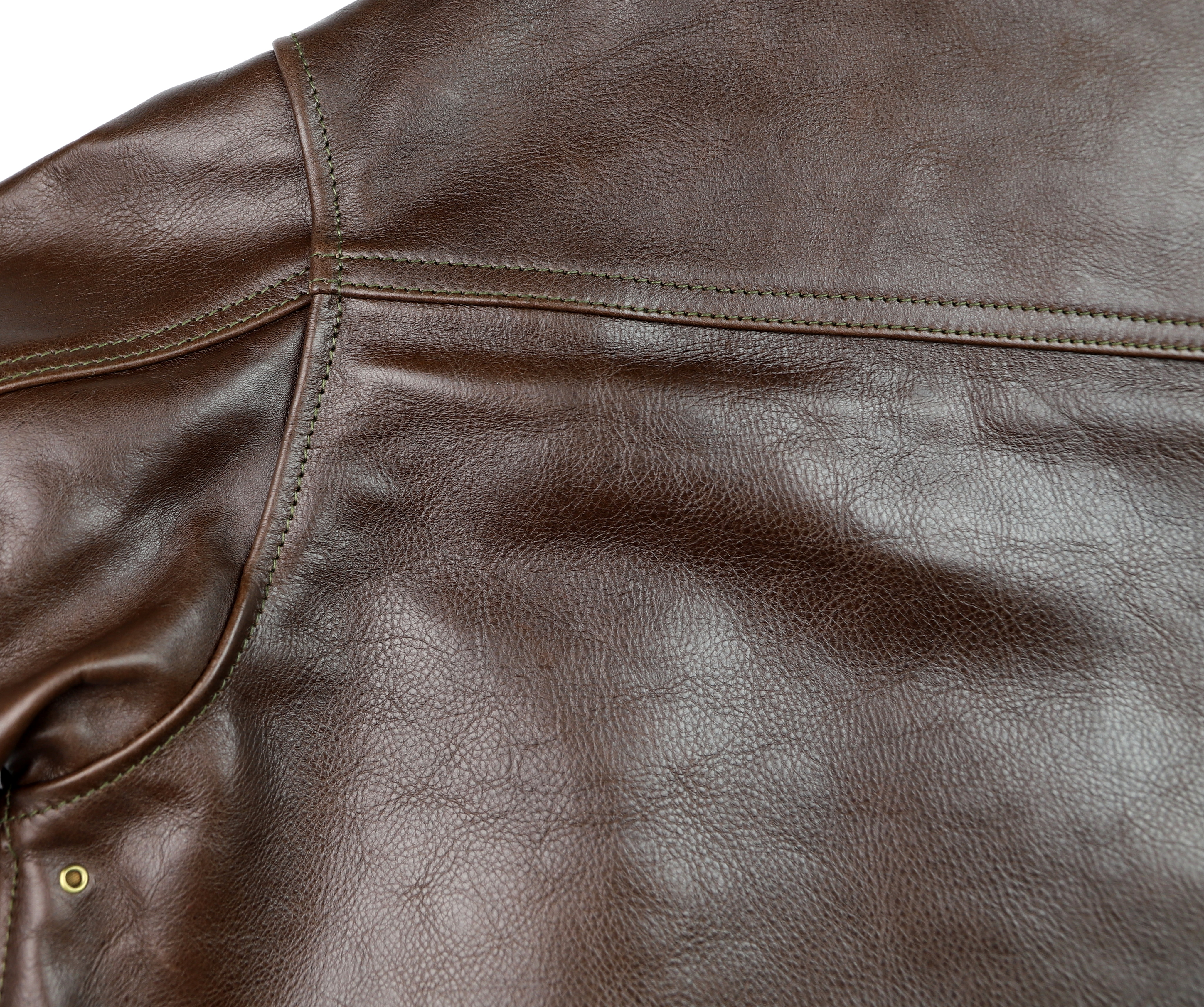 Aero A-1 Seal Vicenza Horsehide WN1 yoke.jpg