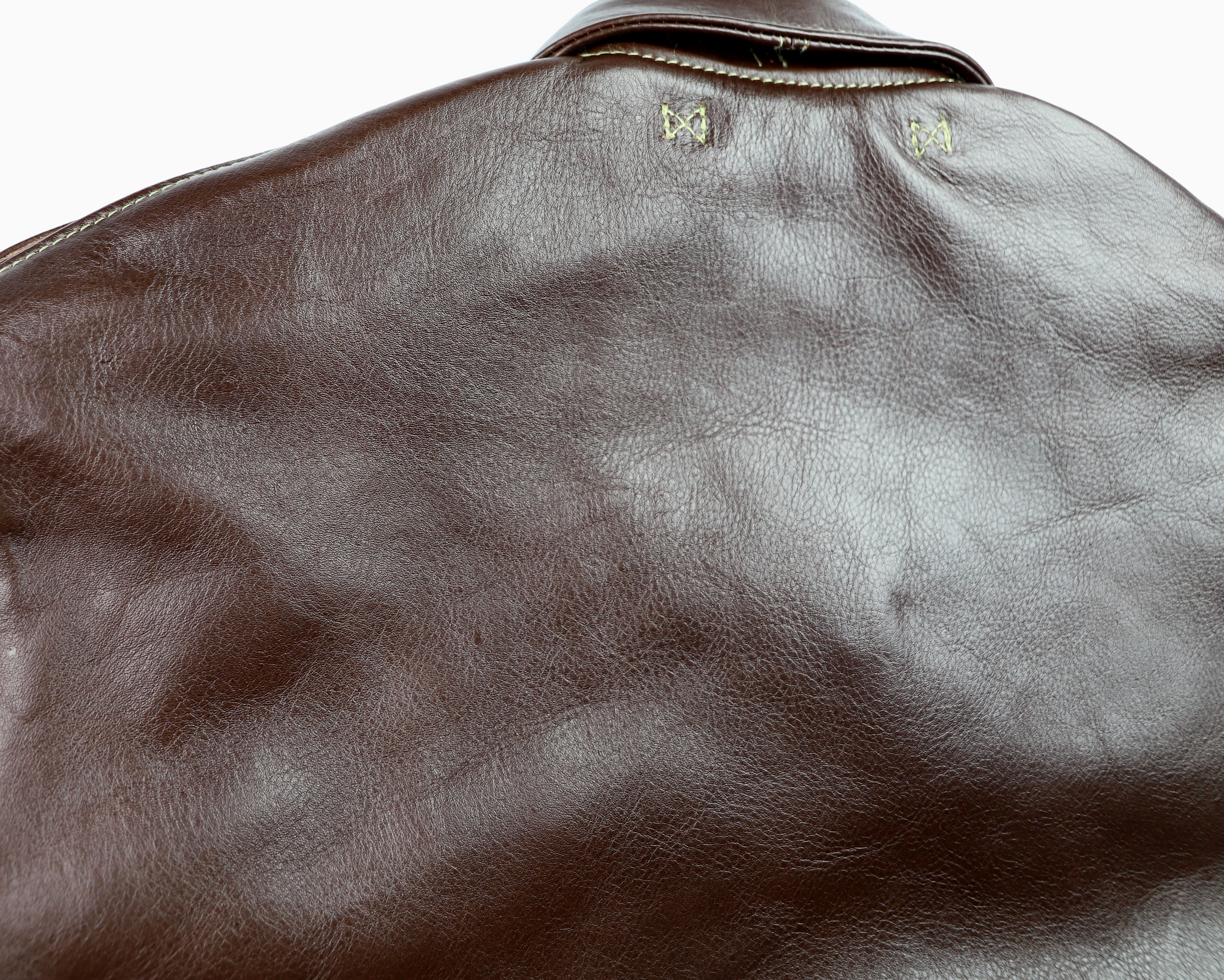 Aero Bronco A-2 Seal Vicenza Horsehide 7QL back grain.jpg