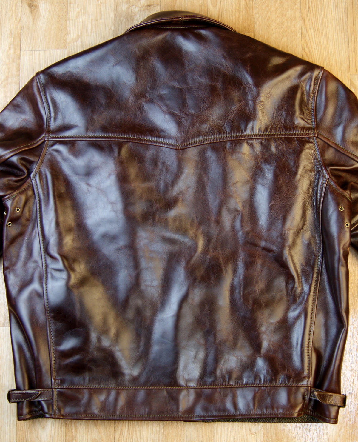 Aero Highwayman Brown CXL FQHH IVY back.jpg