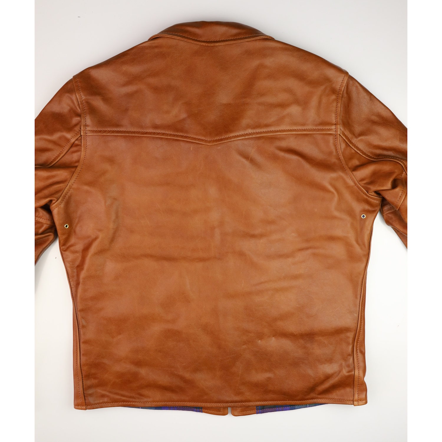 Aero Seven Cognac Pinnacle Horsehide TP7 back.jpg