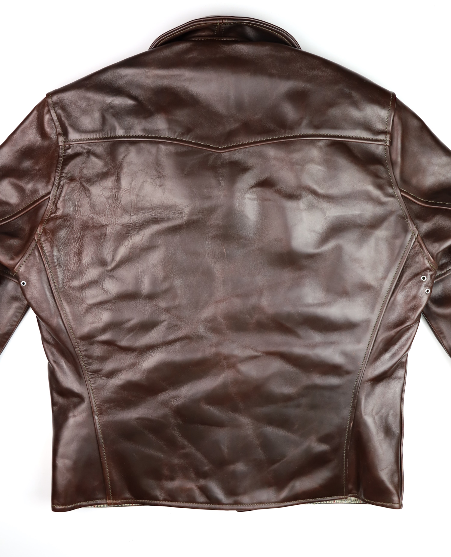 Aero Sheene Brown CXL FQHH YGC back.jpg