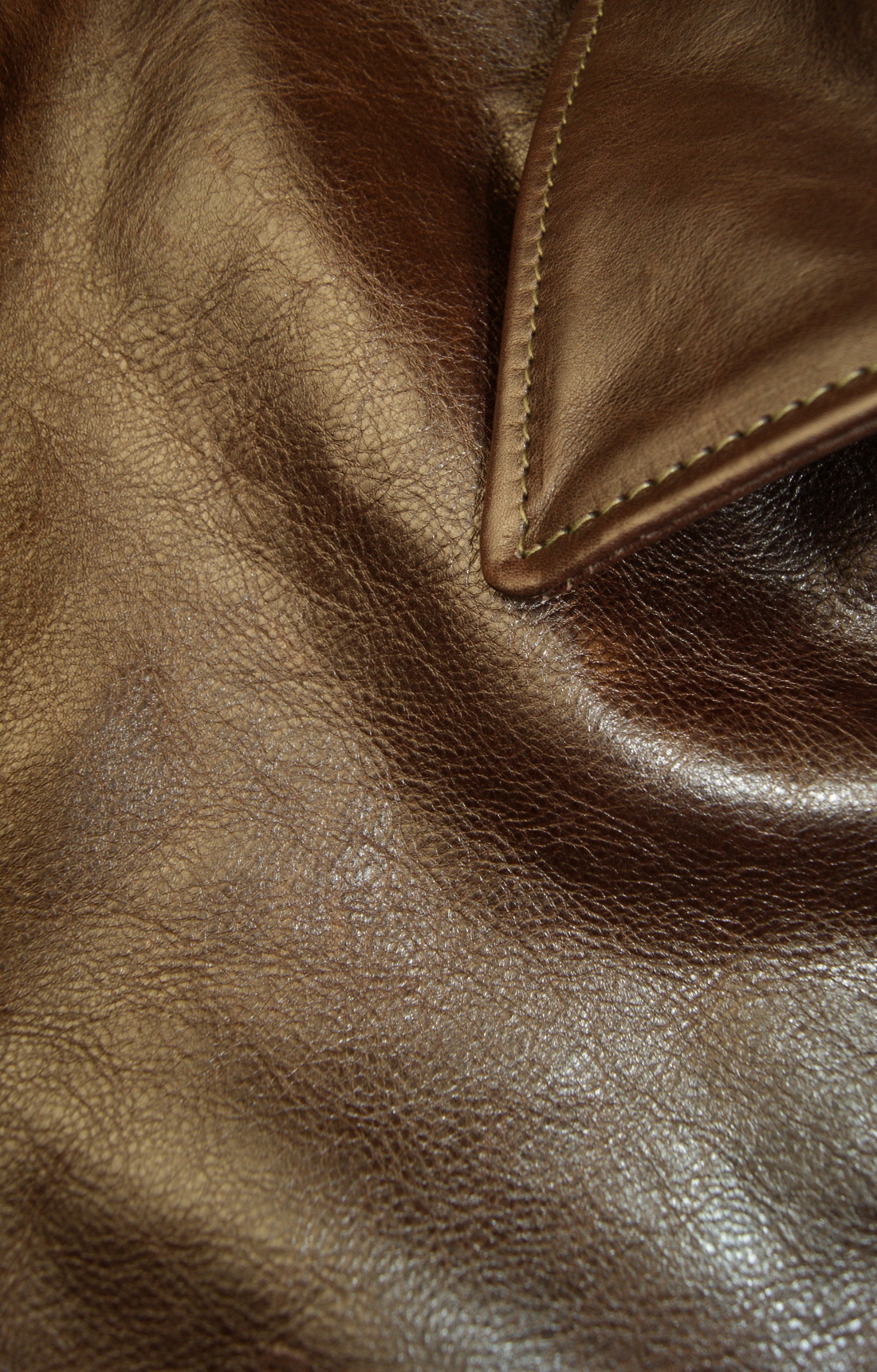 Aero Sunburst Dark Seal Vicenza Horsehide EMY shoulder grain.jpg