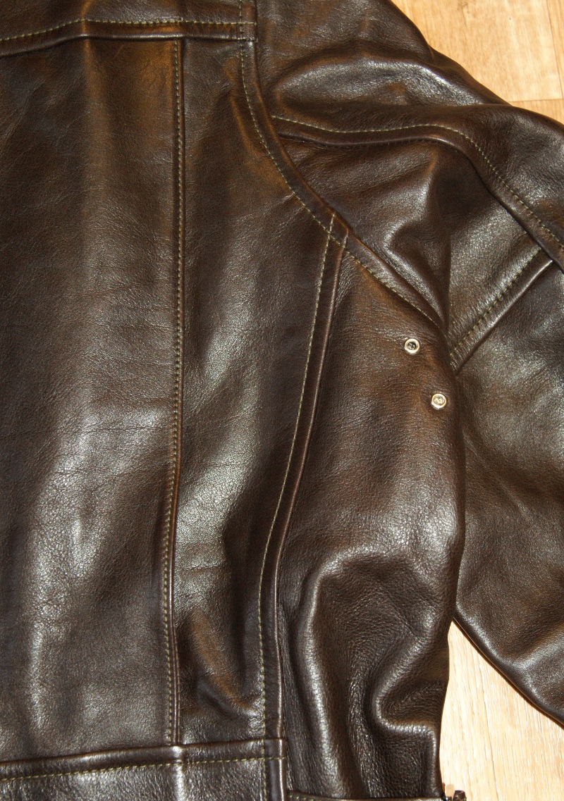 Aero Teamster Dark Seal Vicenza Horsehide K6F action back.jpg