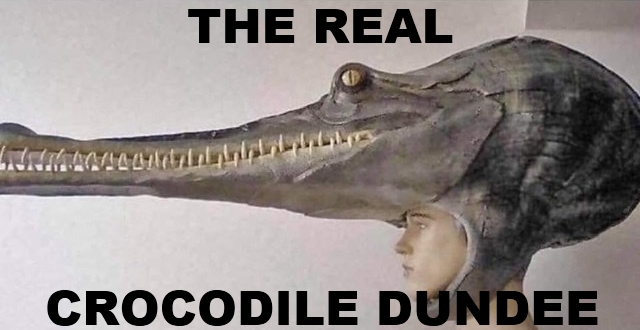 B0156DD4-80C9-4074-8A8D-708435F36234_crop_the real crocodile dundee.jpg