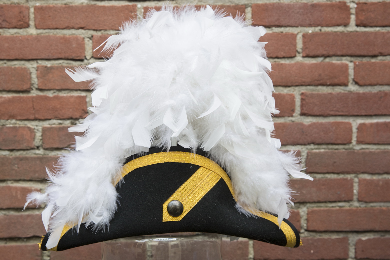 bicorne plume_1.jpg