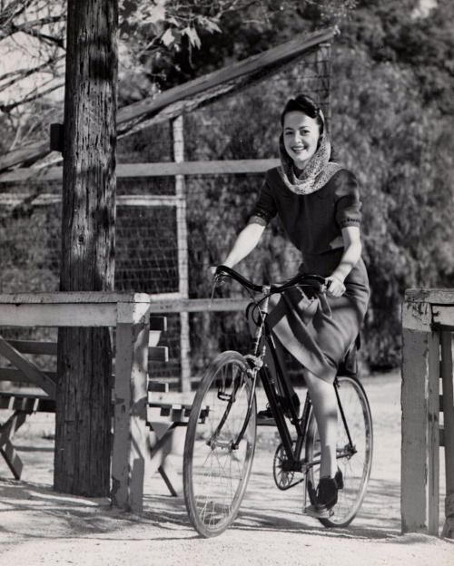 bicycle olivia-de-havilland.jpg