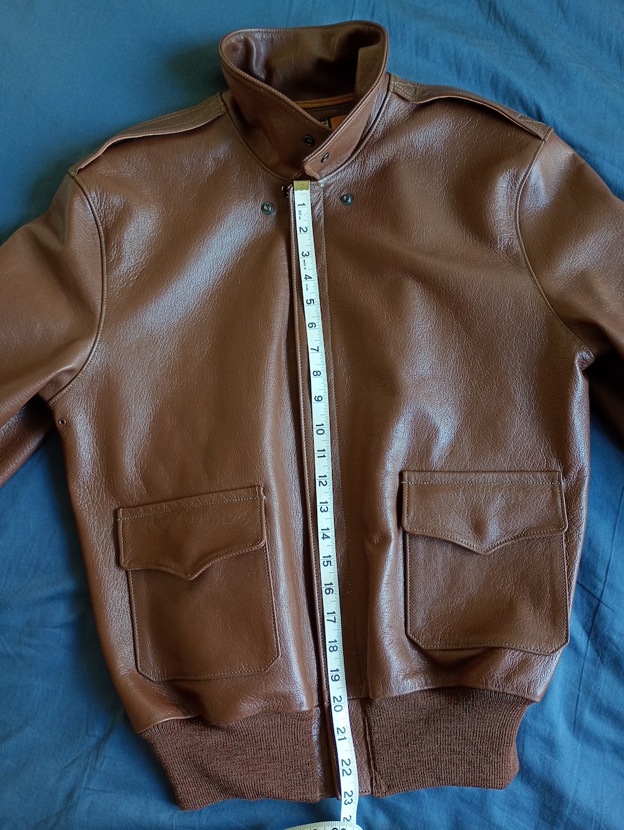 BK Bronco goat 42 Dims 1.jpg