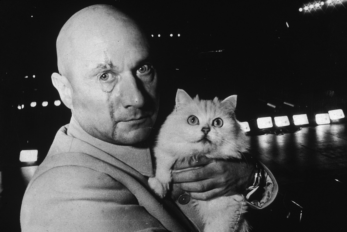 blofeld and cat.jpg