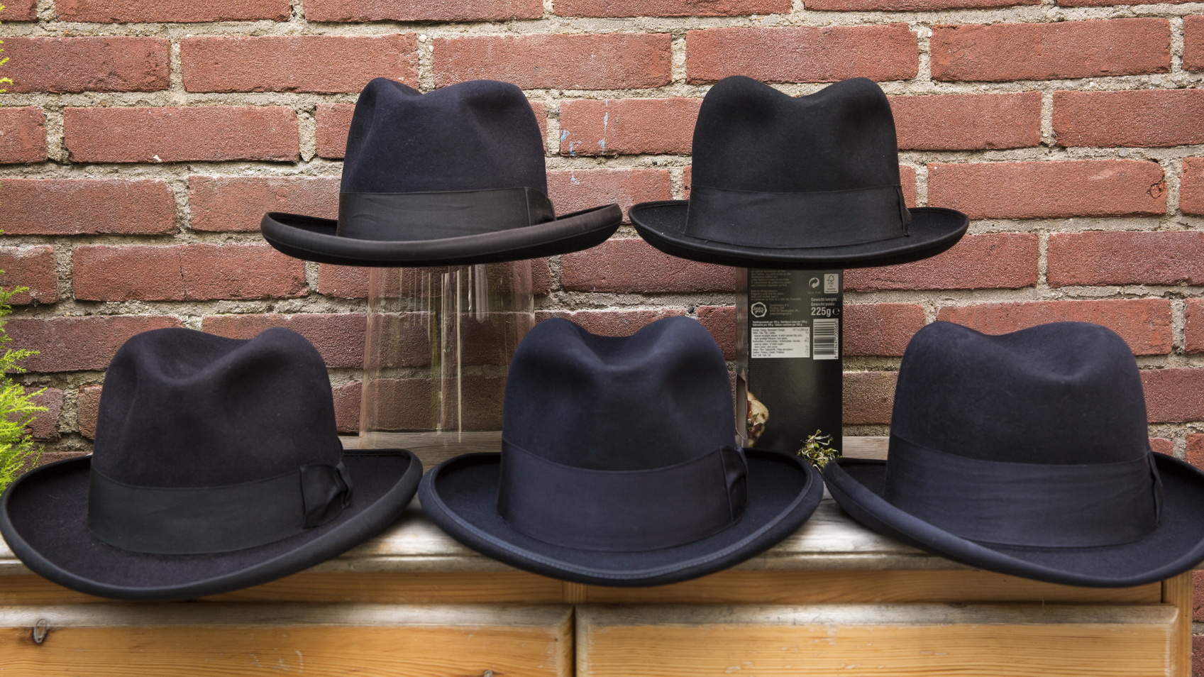 blue homburg_2.jpg