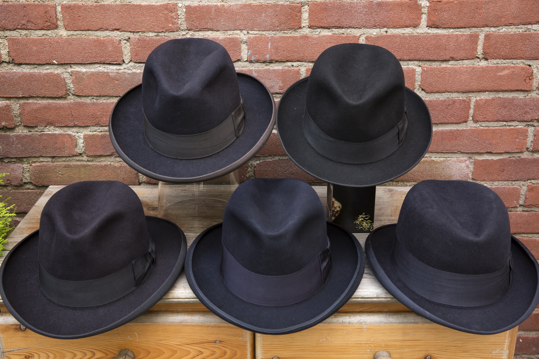 blue homburg_4.jpg