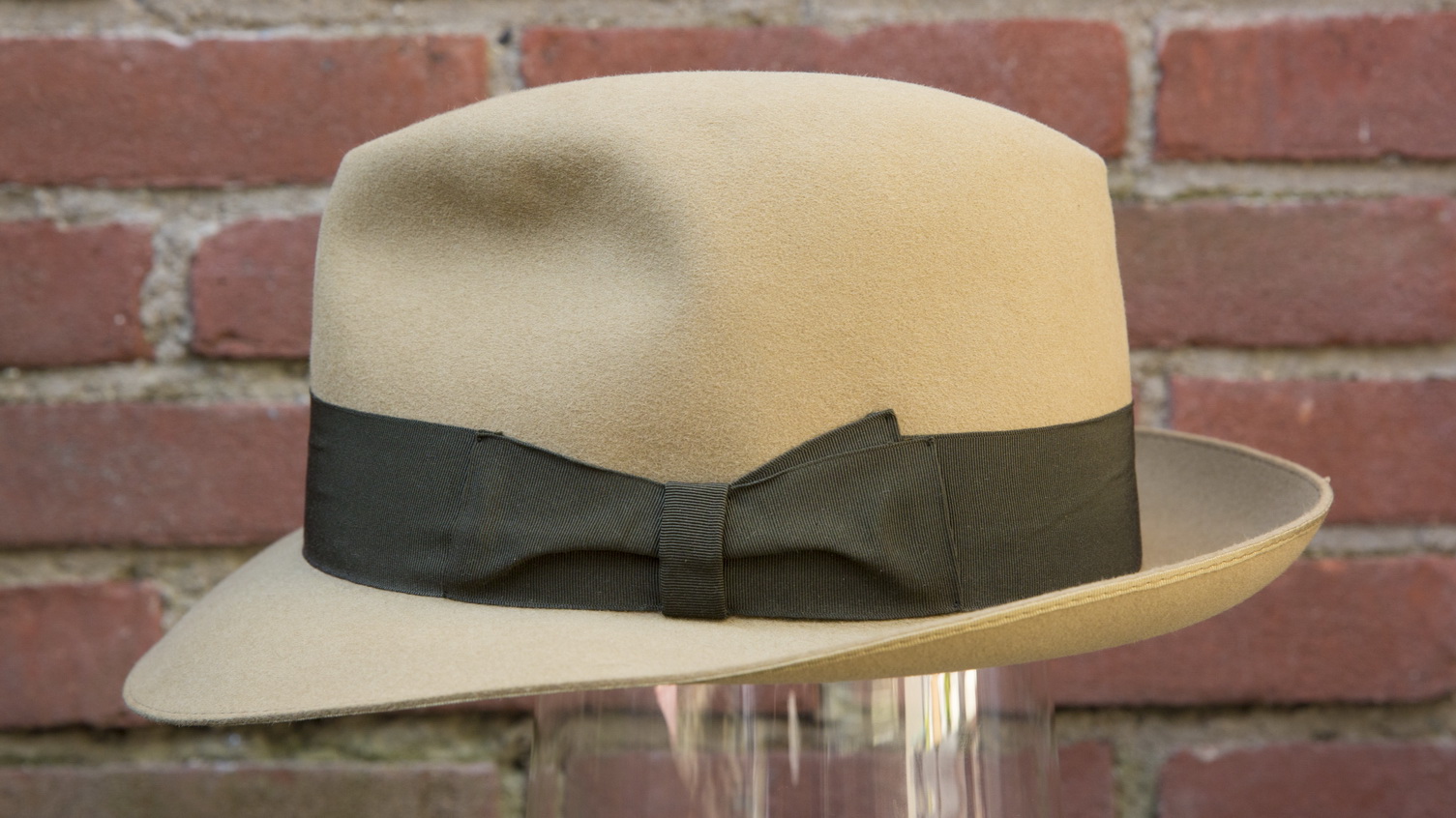 borsalino agave_04.jpg