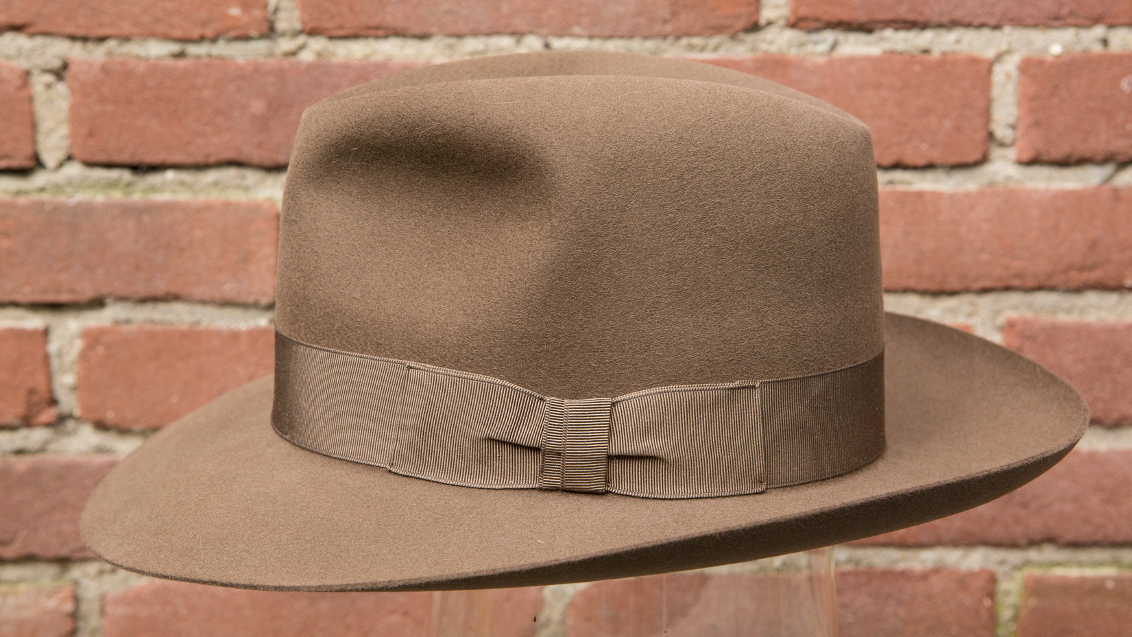 borsalino averla4_03.jpg