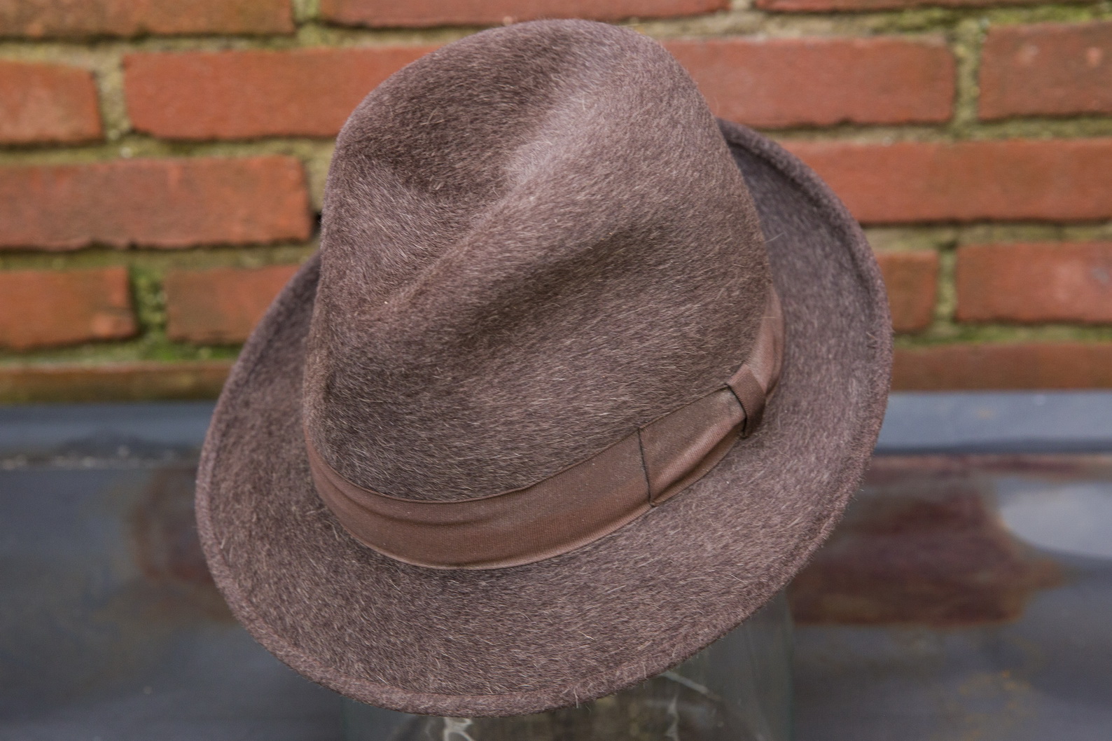 borsalino castorino_02.jpg