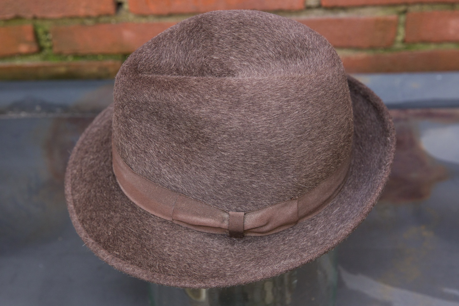 borsalino castorino_03.jpg