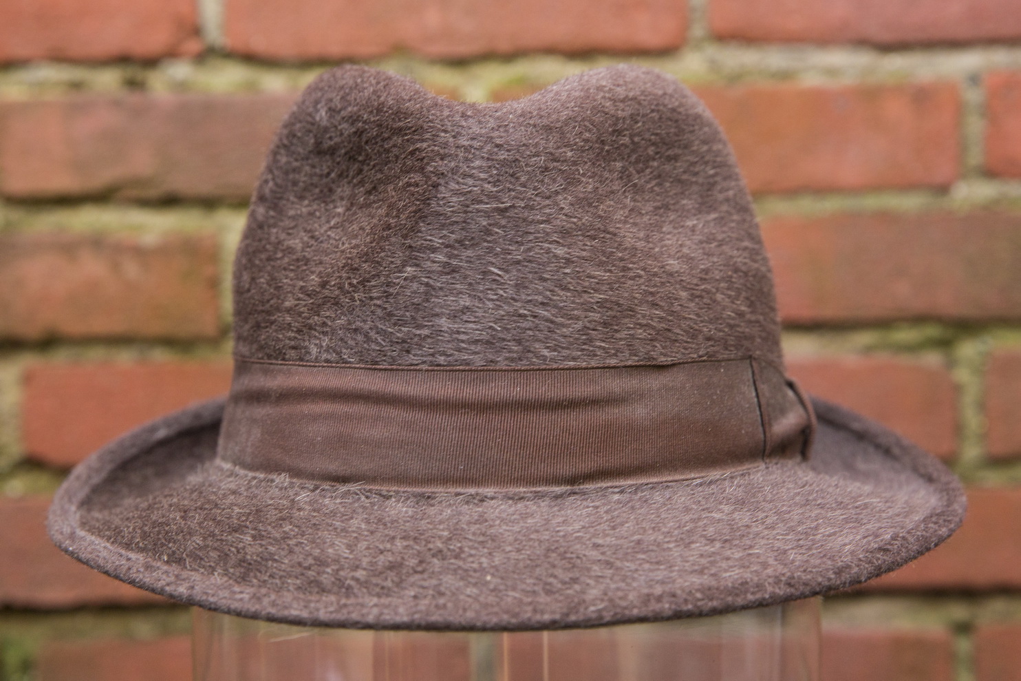 borsalino castorino_06.jpg