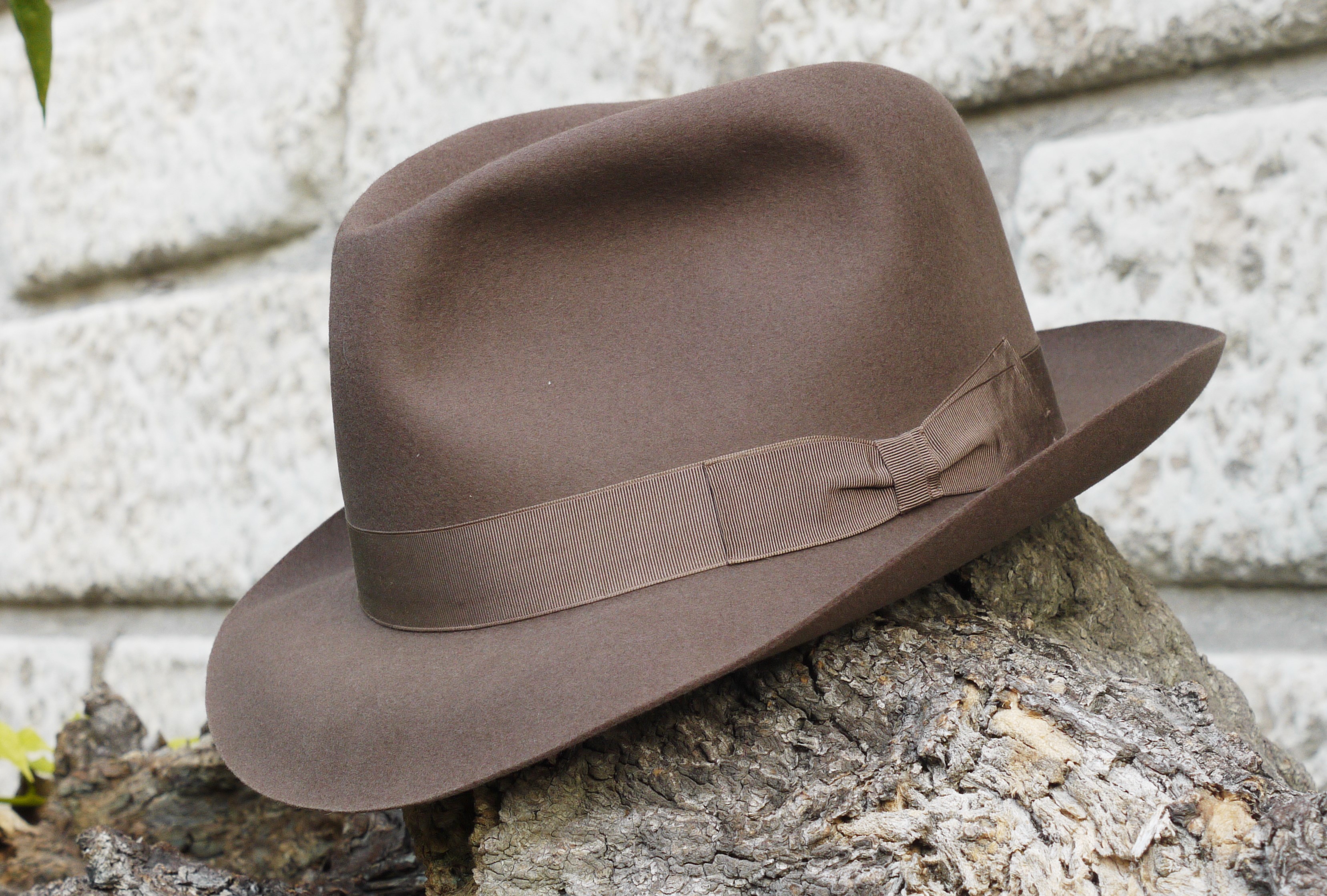 Borsalino Condor 2.jpg