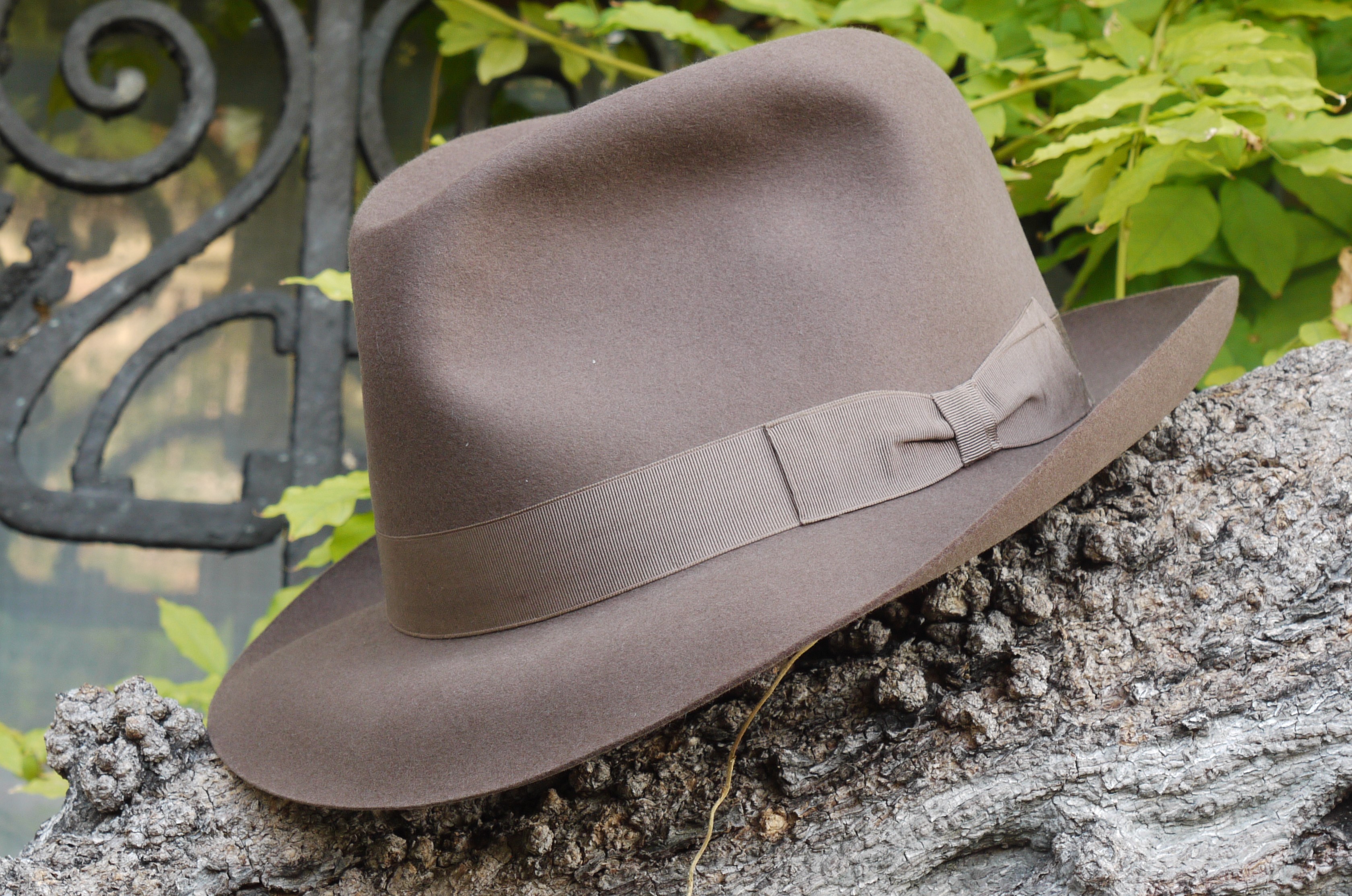 Borsalino Condor 6.jpg