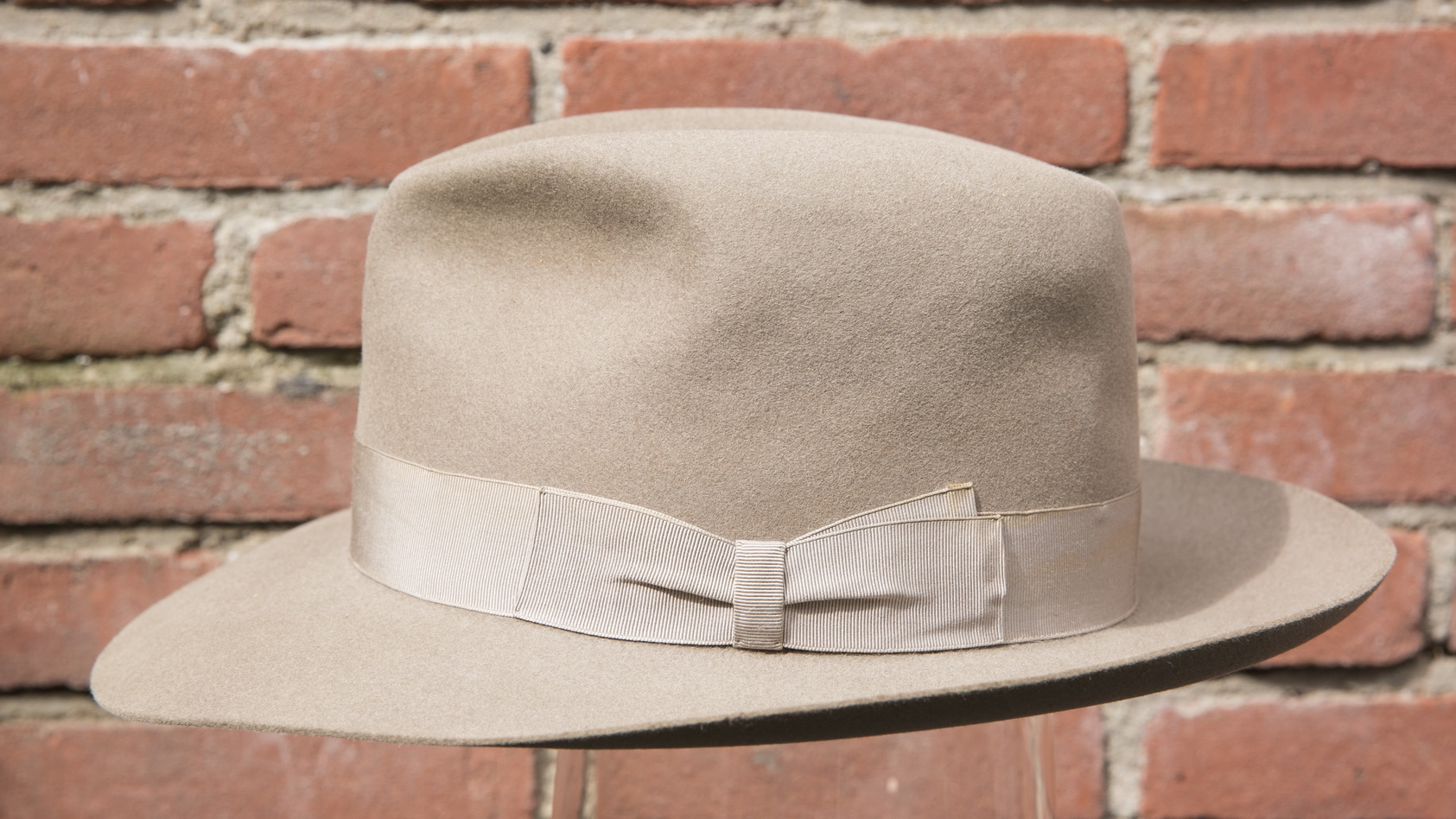 borsalino nutria_04.jpg