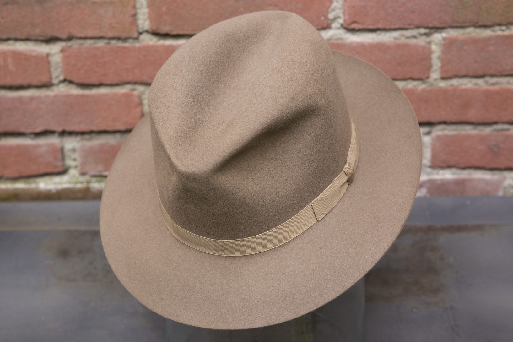 borsalino senapa_02.jpg