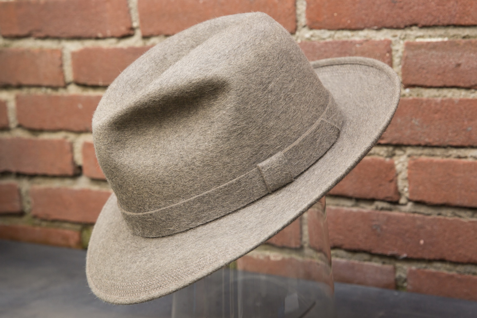 borsalino stagno_01.jpg