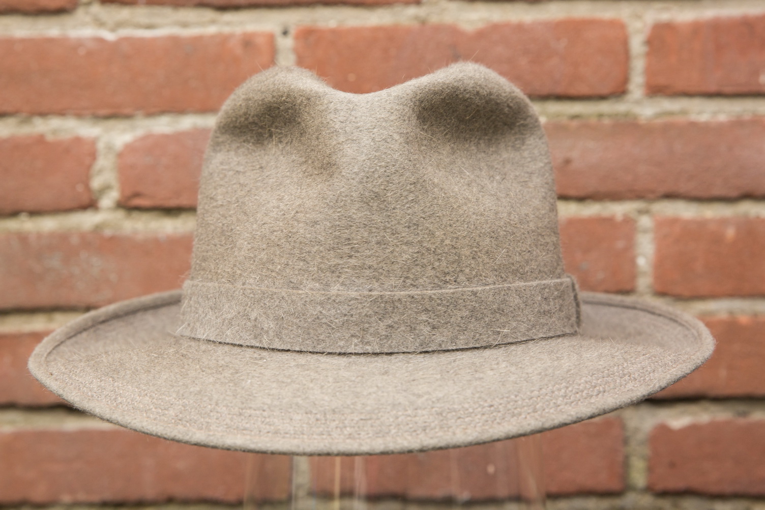 borsalino stagno_05.jpg