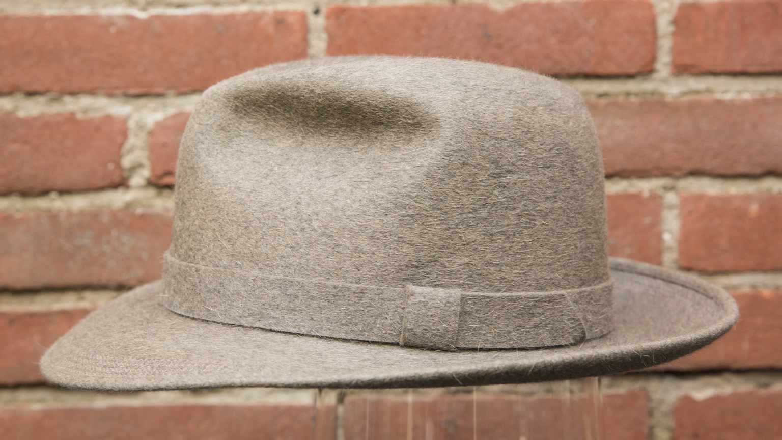 borsalino stagno_06.jpg