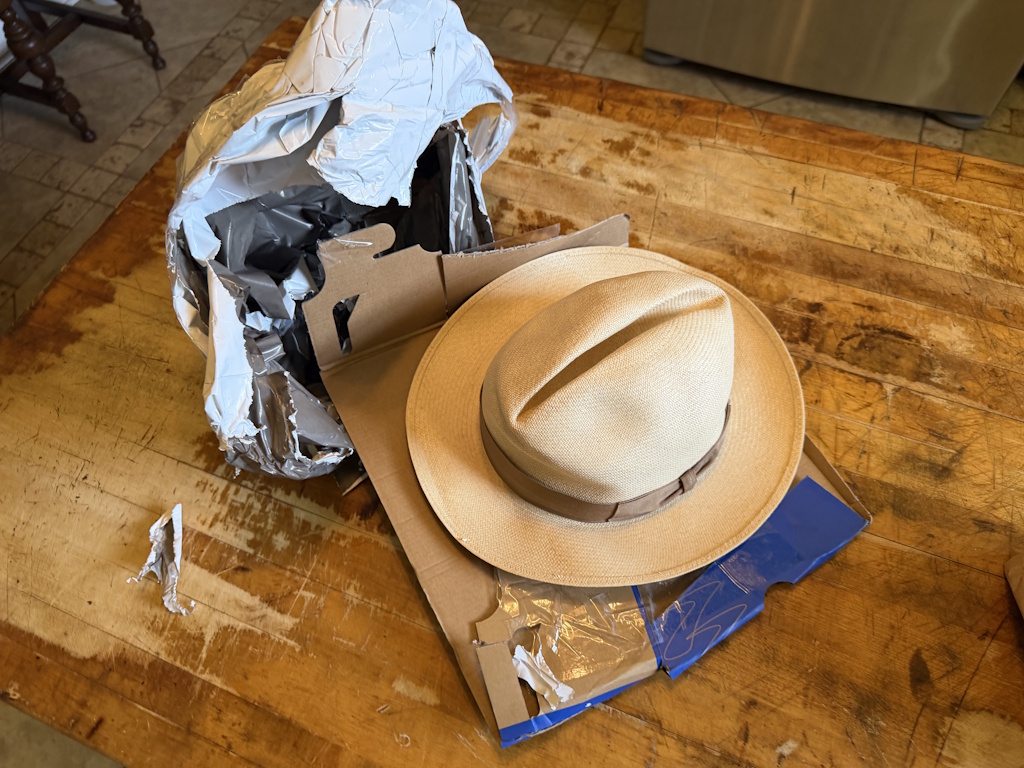 Borsalino stray return 08-25-2026 (2).JPG