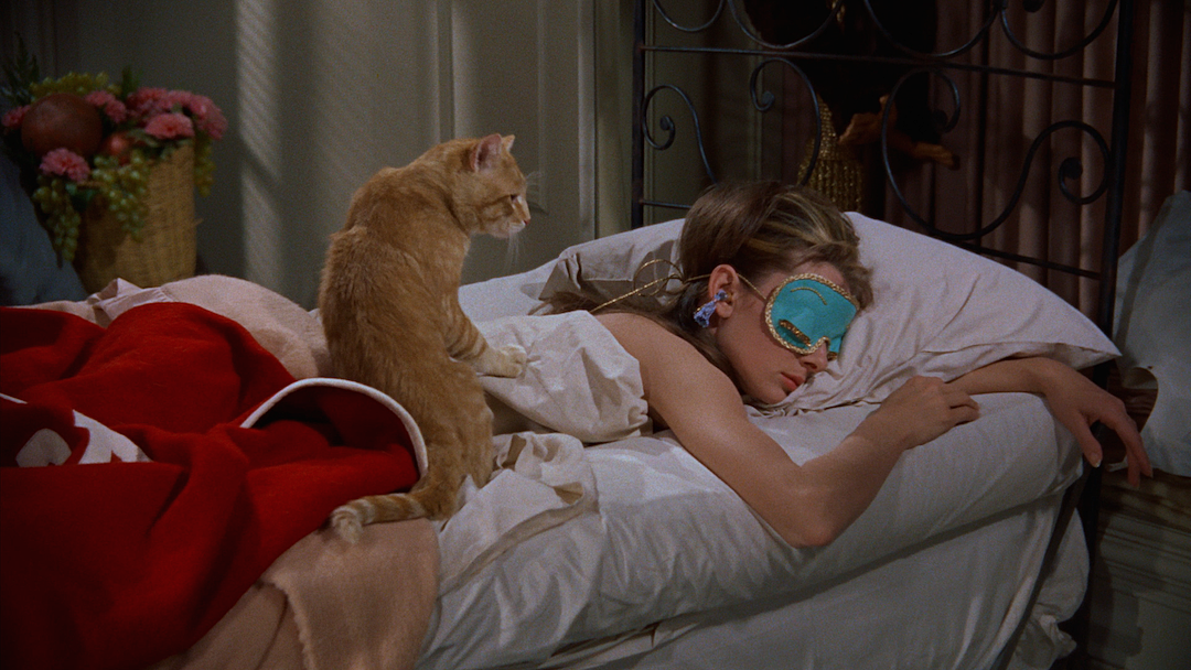 breakfast-at-tiffanys-orangey.png