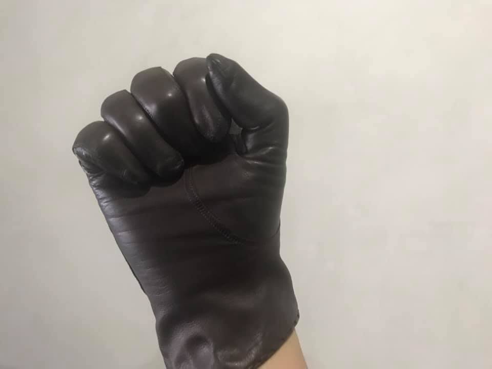 brgloves02.jpg