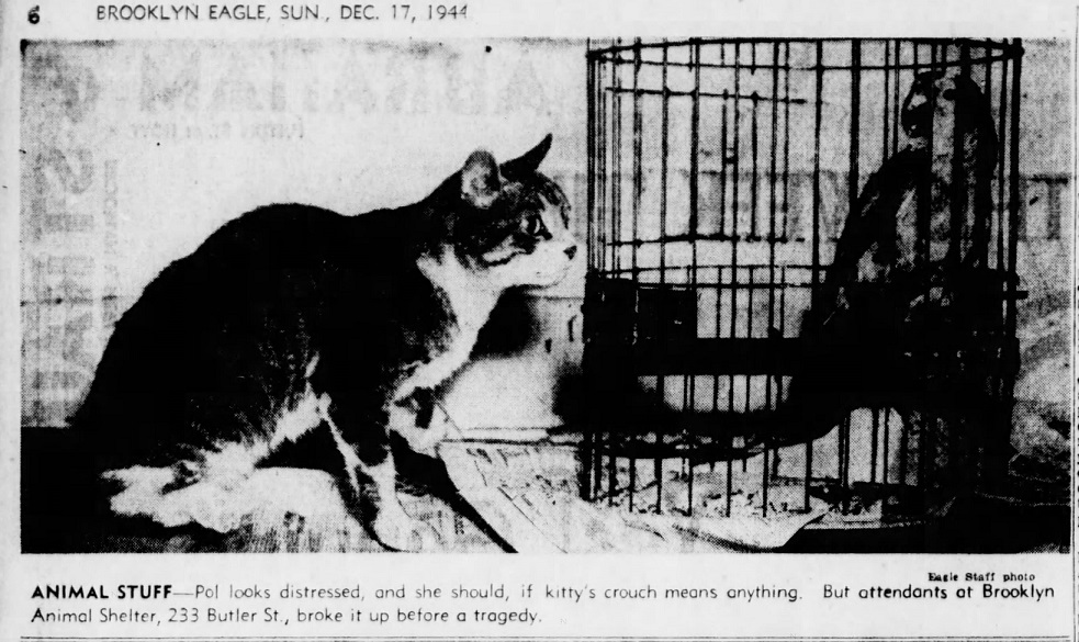 Brooklyn_Eagle_1944_12_17_Page_6.jpg