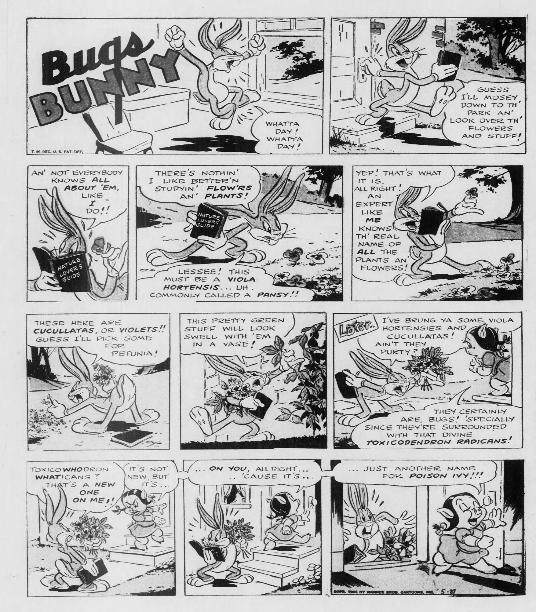 Brooklyn_Eagle_1945_05_27_Page_36.jpg