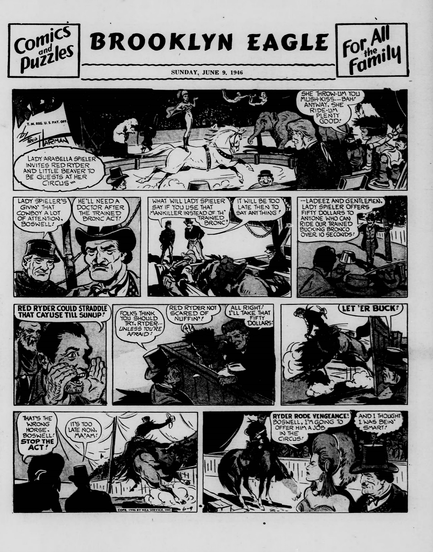 Brooklyn_Eagle_1946_06_09_Page_158.jpg
