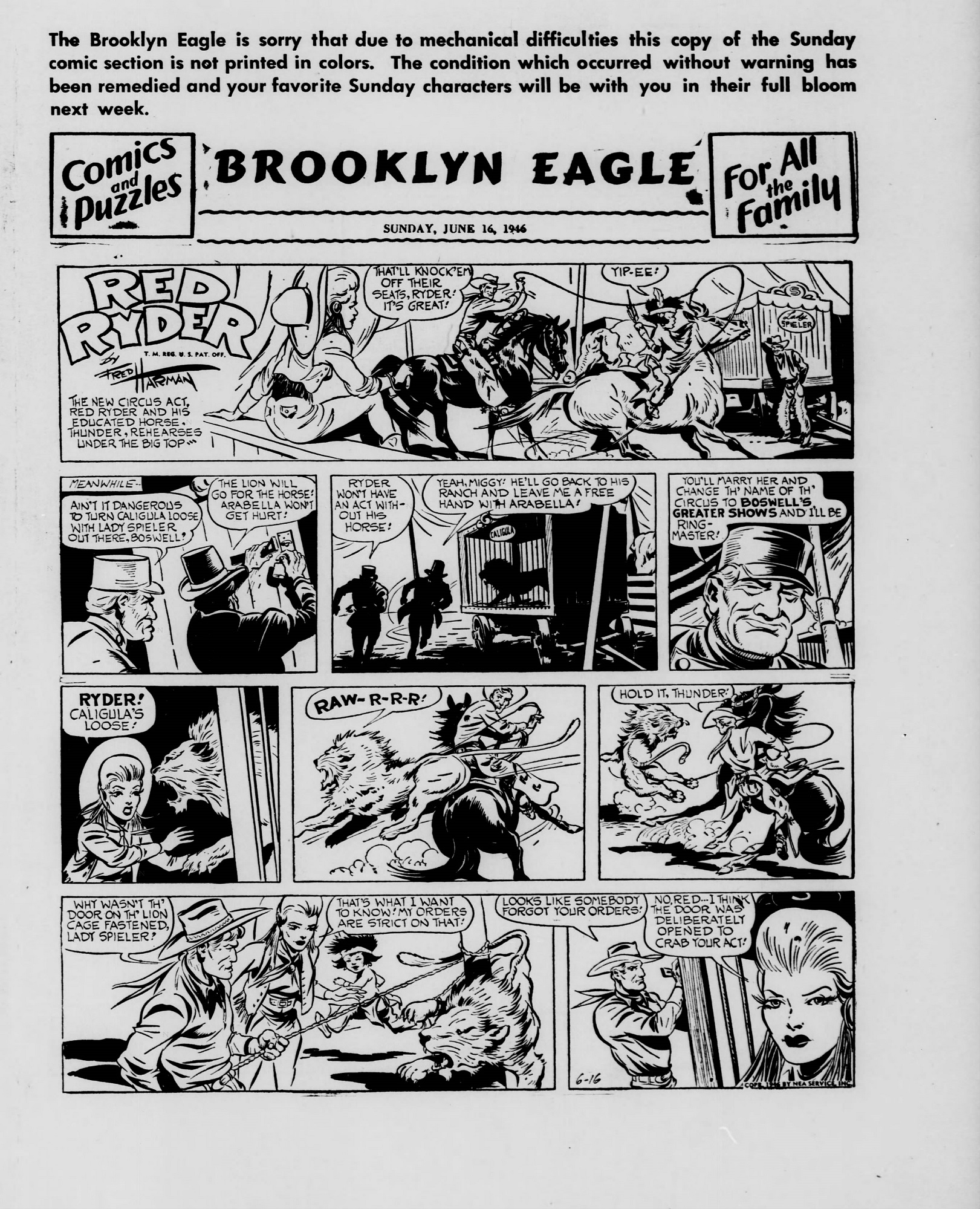 Brooklyn_Eagle_1946_06_16_Page_61.jpg