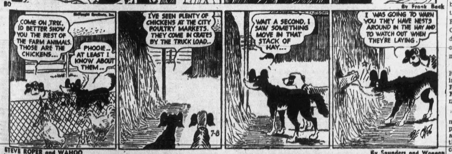 Brooklyn_Eagle_1946_07_08_17 (4).jpg
