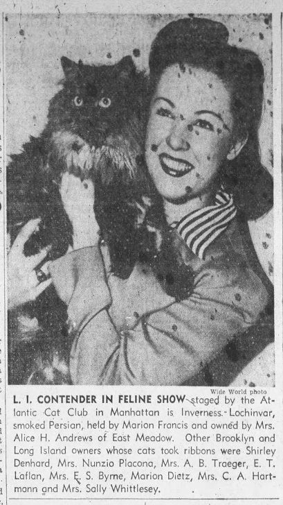 Brooklyn_Eagle_Fri__Jan_10__1941_(1).jpg