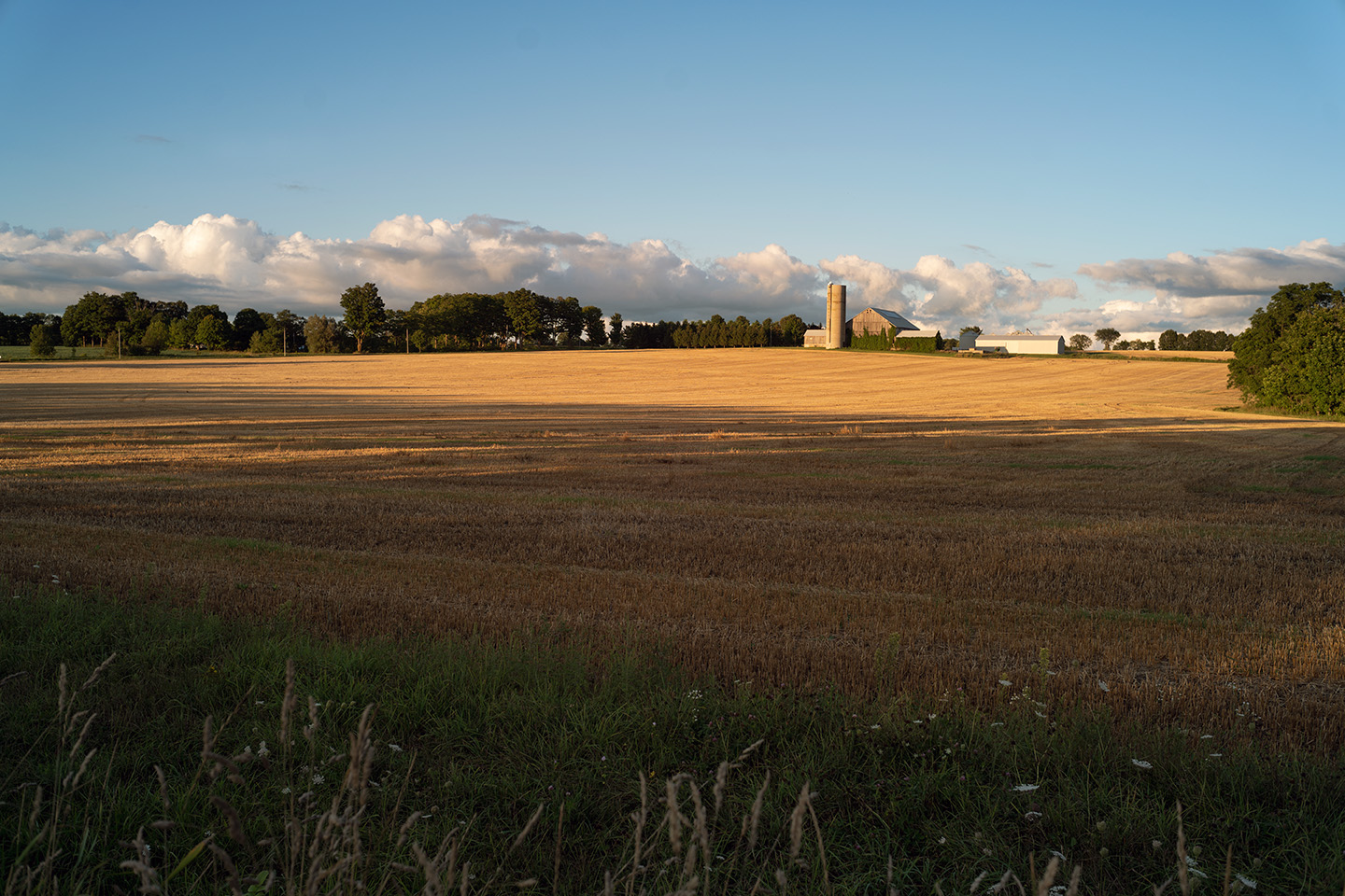 brownfield_with_barn.jpg