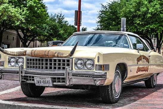 caddy.jpg