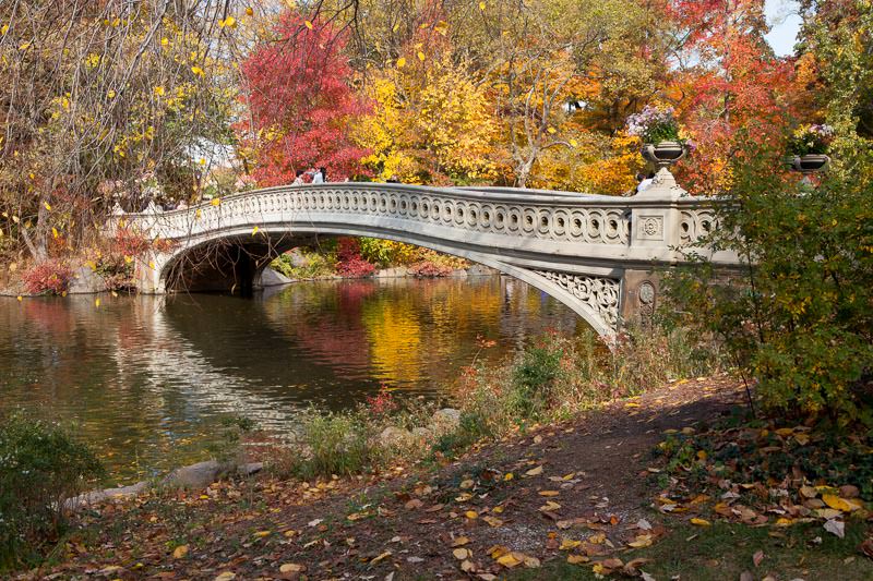 central_park_photography_tour_new_york-3.jpg